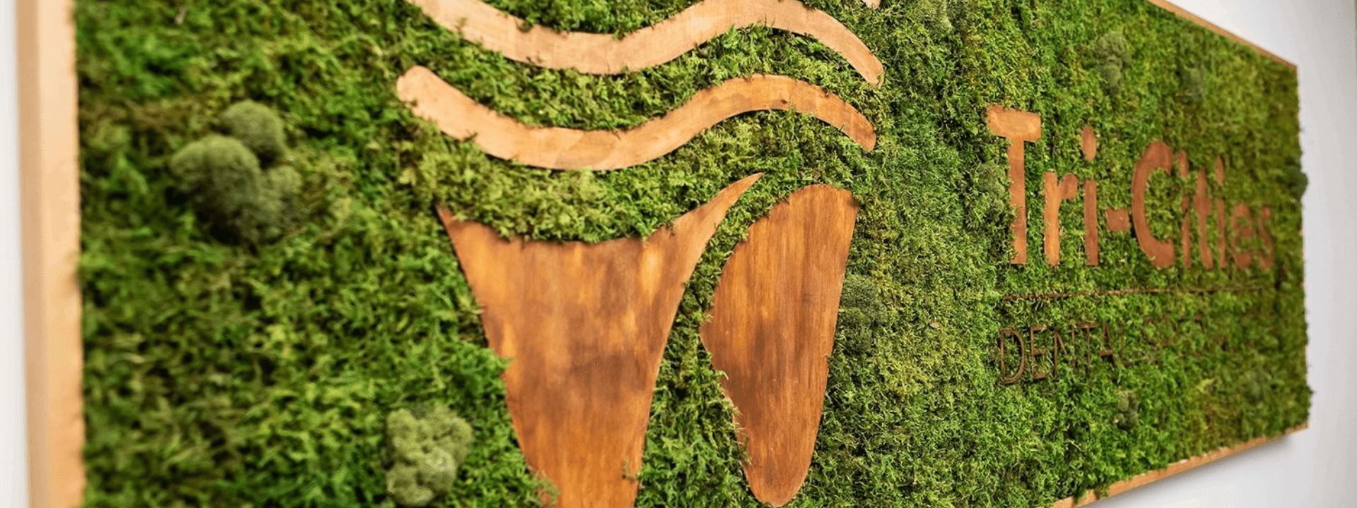 Banner Content Background